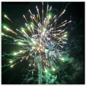 SCB930 - 19s Blue & Green Palms 6/1