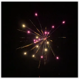 SCB965 - 19s Gold Silk Willow w Lemon & Purple Star 6/1